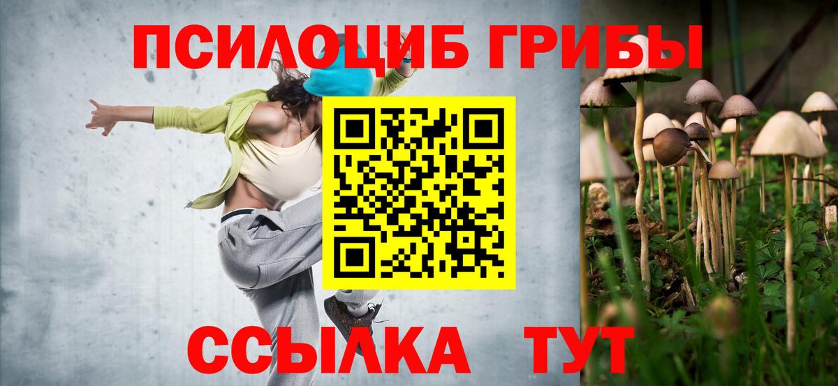 Галлюциногенные грибы GOLDEN TEACHER Губкин