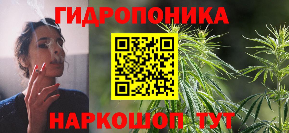 Конопля семена Губкин